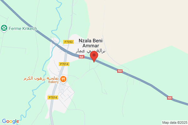 Benachour M