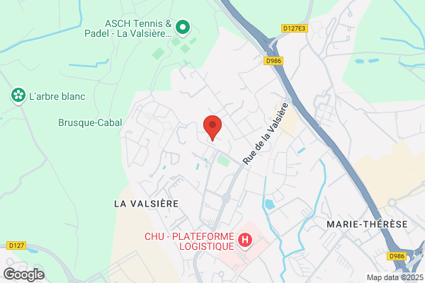 LE CISEAU D'OR