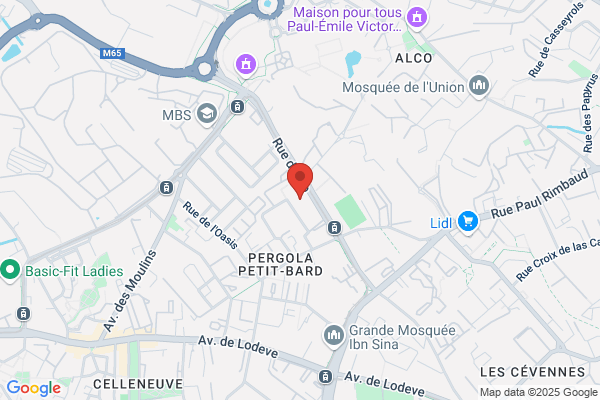 Arpio Association Relais Pour L Insertion Et L orientation
