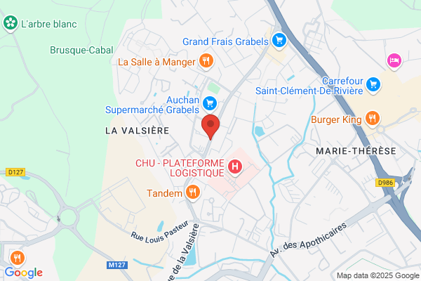Commission De Circonscription De L Education Speciale montpell