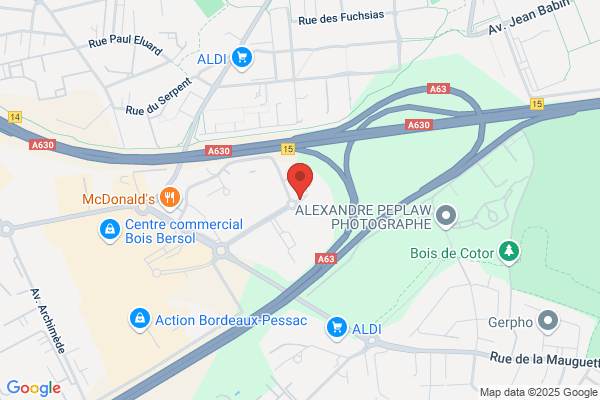 Anfa Association Nationale Pour La Formation Automobile delegati