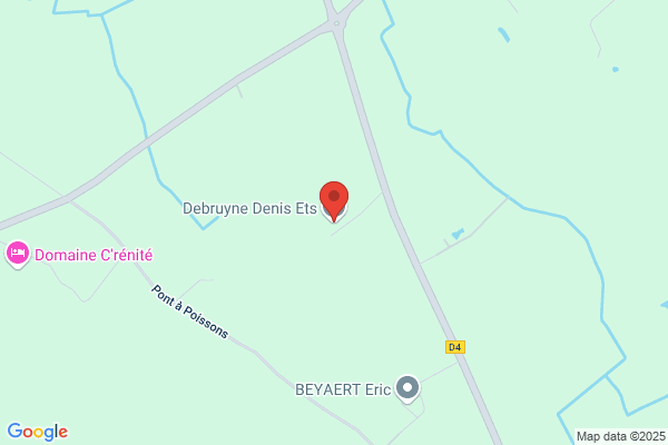 Debruyne Brigitte