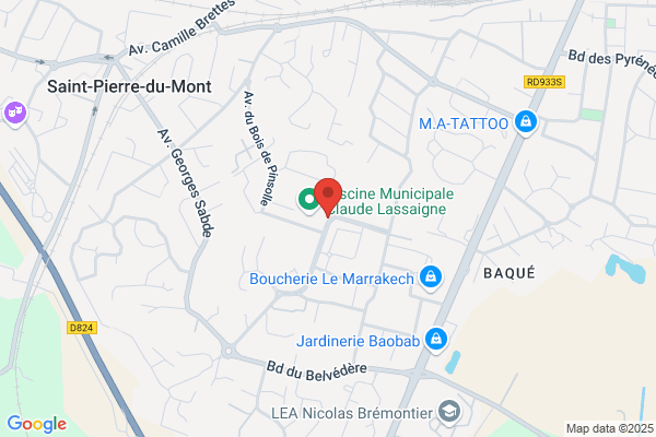 Club Des Dauphins