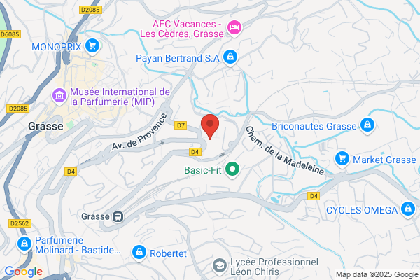 Departement Des Alpes Maritimes Revenu Minimum D insertion