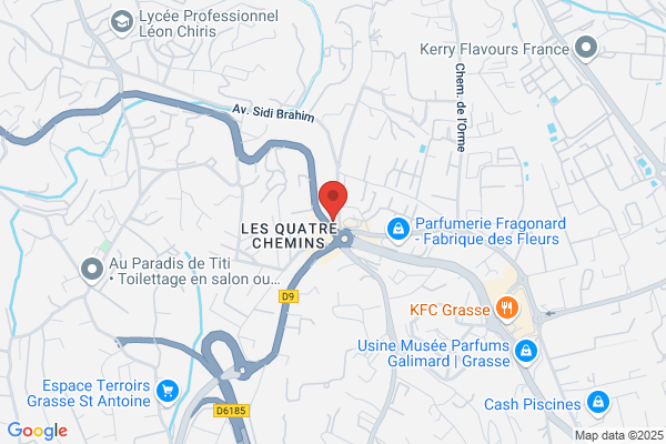 Midas Grasse