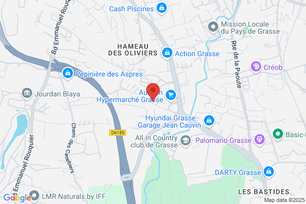 Camping Du Pont De La Paoute