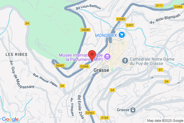 Hotel Pension Des Palmiers