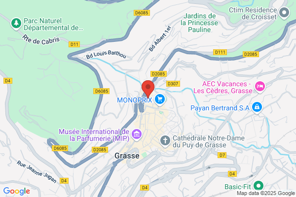 Agence Des Palmiers