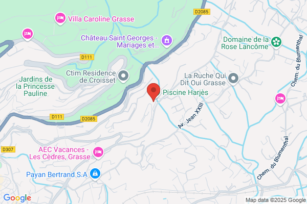 Dauphins De Grasse
