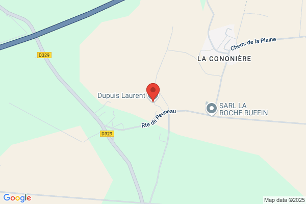 Dupuis Laurent