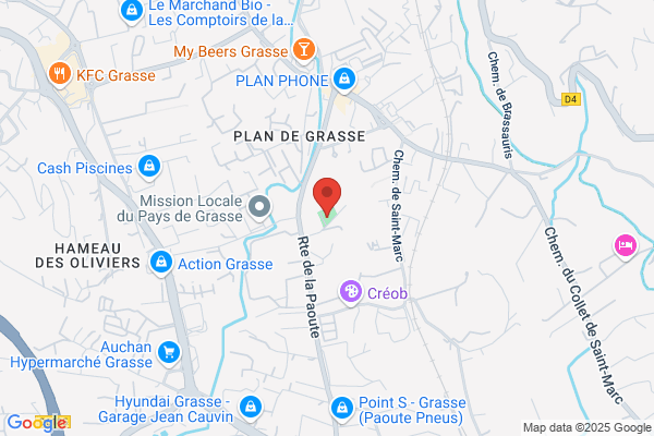 Assistance Aux Animaux