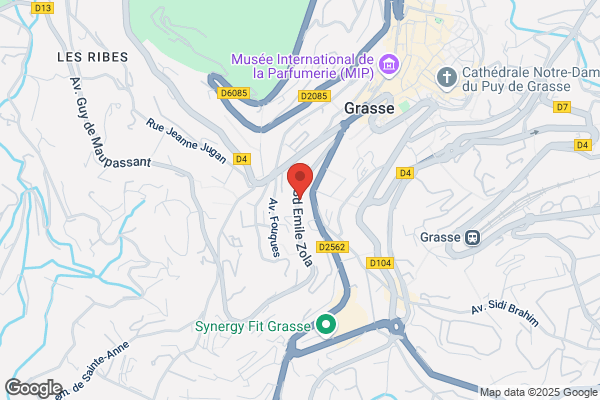 Ecole Grassoise De Judo