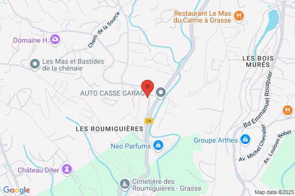 Casana Rene