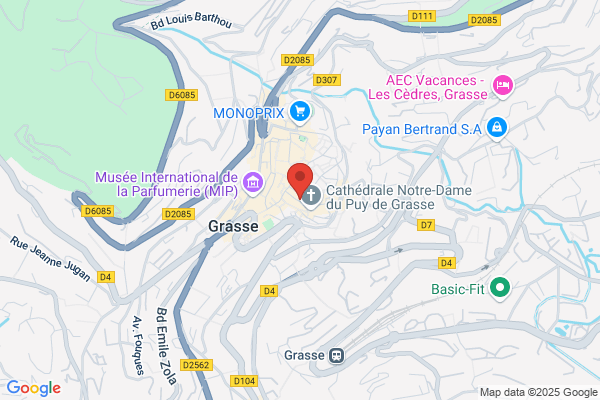 Confederation Francaise De L Encadrement Cgc