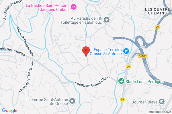 Cottenet Isabelle Francais Anglais Allemand