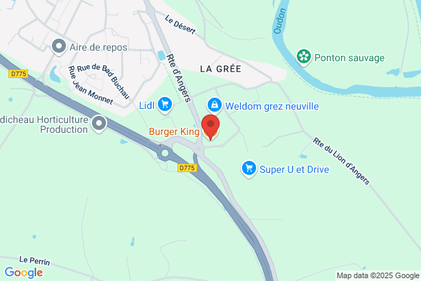Burger King