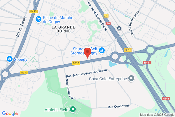 Elyvoyance