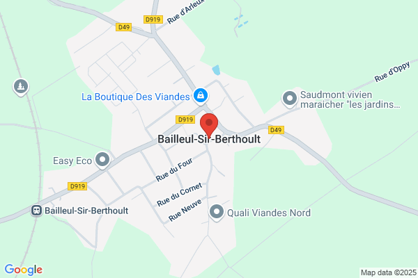 Bailleul Michel