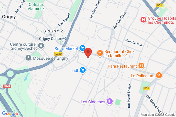 Brigade D Intervention Gardiennage Et Surveillance