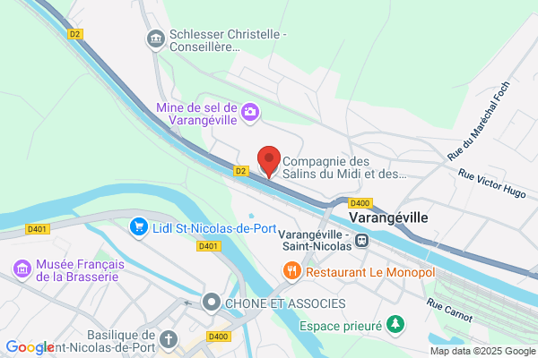 Compagnie Des Salins Du Midi Et Des Salines De l Est Salins Ecom