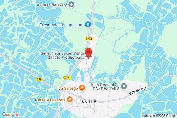 sel et fleur de sel Macé Jean-François