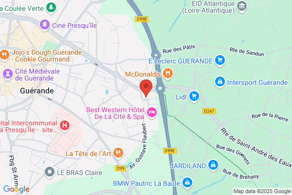 Caradec Henri