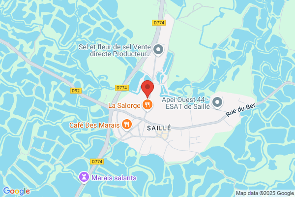 Instance De Coordination Gerontologique Presqu Ile Gueran