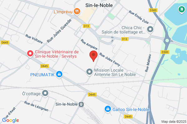 College Anatole France