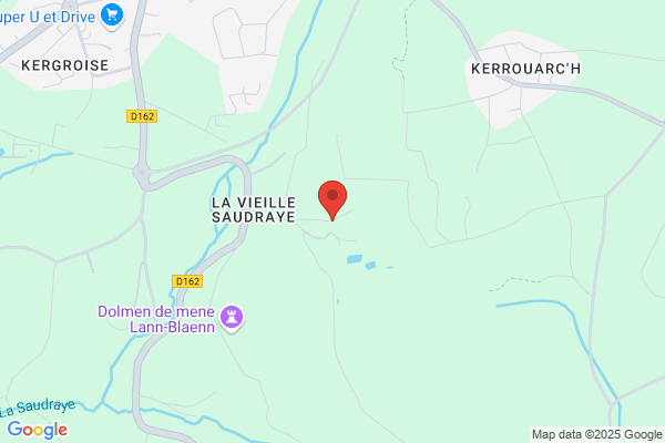 Autruches De La Saudraye