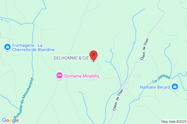 Delhomme Jean Claude