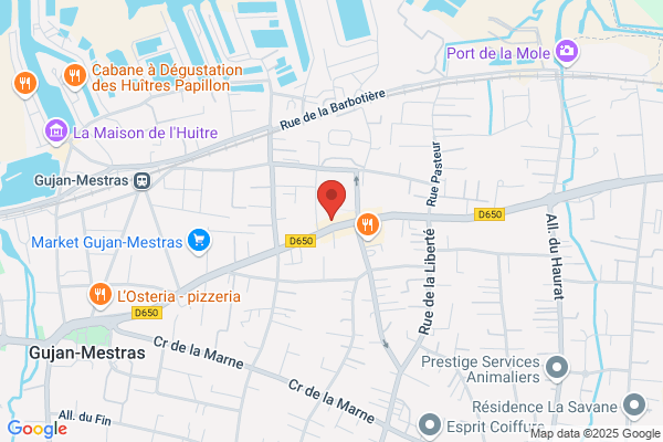 Samsic Emploi Gujan-Mestras