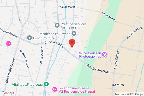 Ecole privée Marie Curie, Section Bilingue et Haut Potentiel