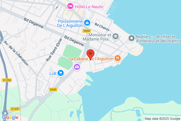 Arcachon Elagage