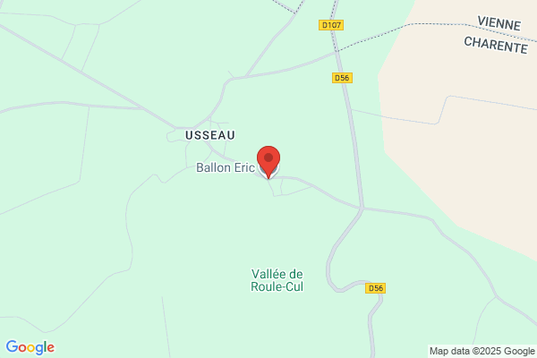 Ballon-image dau poitou Eric DENIS