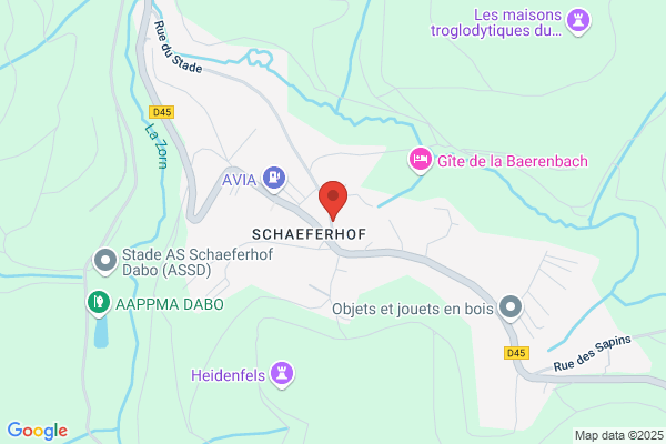 Dillenschneider Schott Sarl