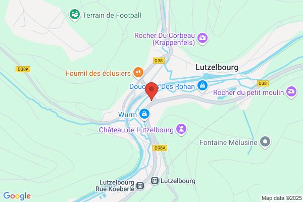 Hotel Restaurant Des Vosges