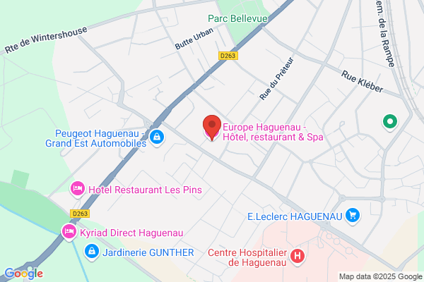 Hotel Europeen