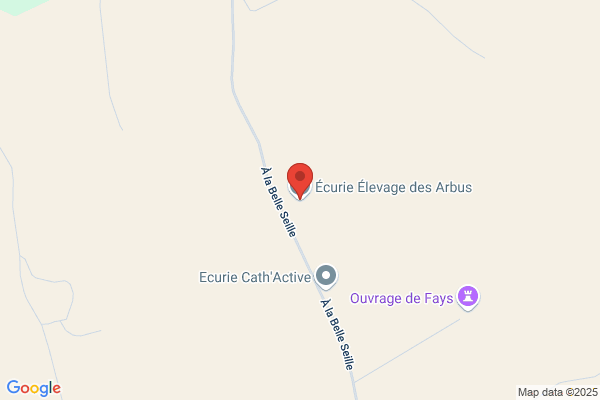 Elevage Et Ecuries Des Etiers