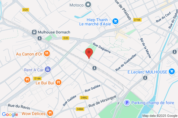Easy Services Est: Dératisation désinsectisation punaise de lit Destruction Guêpes-Frelons traitement bois et merule