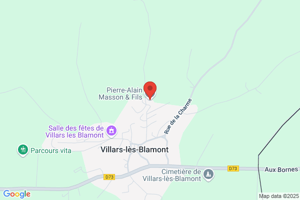 MASSON PIERRE-ALAIN ET FILS