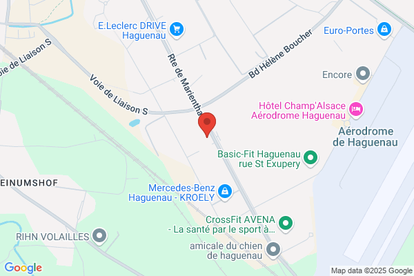 Audi Auto Expo Concessionnaire