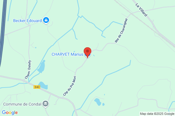 Charvet Francis