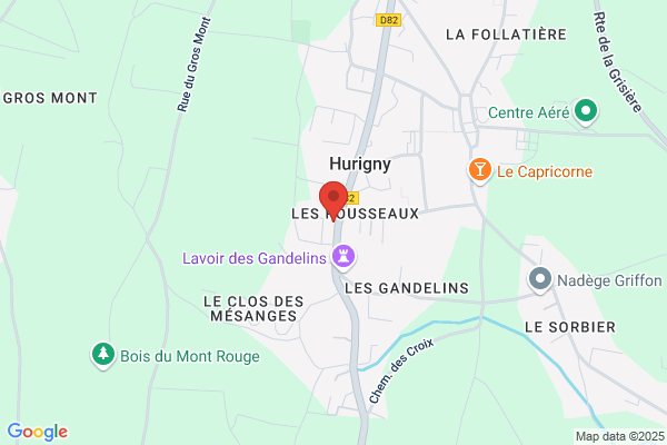 Ducarouge Laurent
