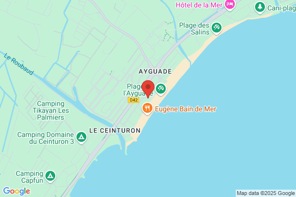 Ciboulette