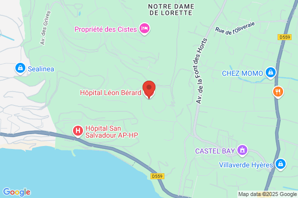 Hopital Leon Berard