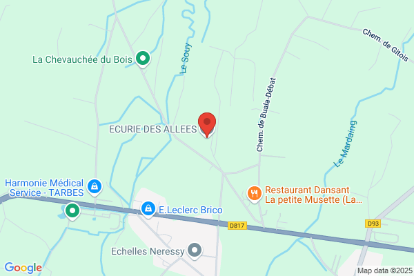 ORDRE EQUESTRE DU SAINT NOM DE L'IRIS