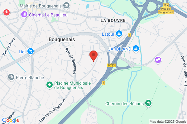 Douanes Brigade Touristique De Surveillance