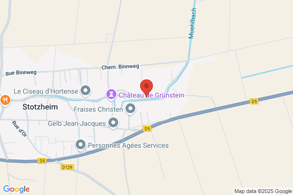 Dam Carrelage