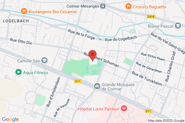 Club De Sports De Glace De Colmar