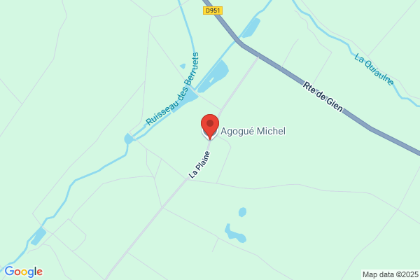 Goujat Michel